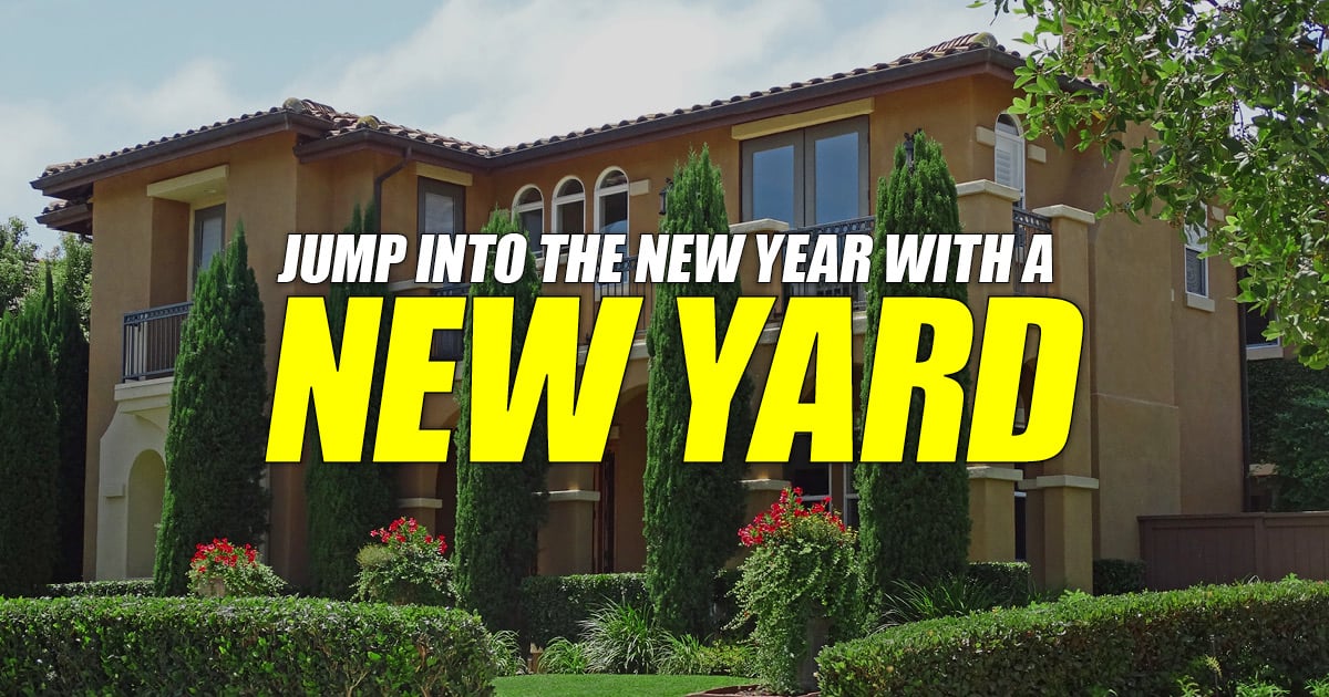 Jump into the New Year with a New Yard